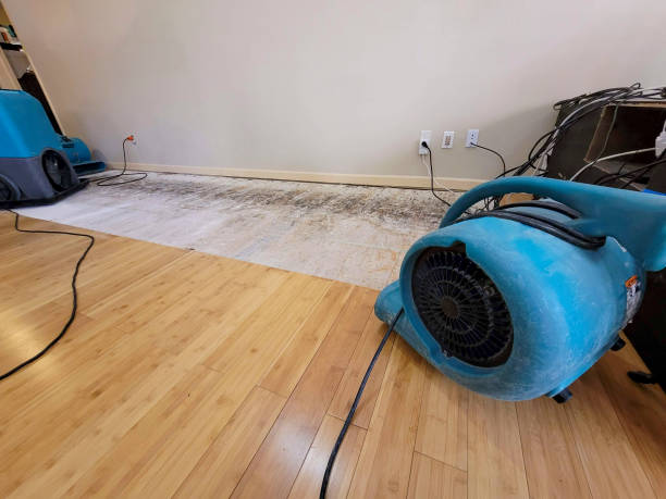 Professional Basement Flood Cleanup technician working in Avenel, NJ